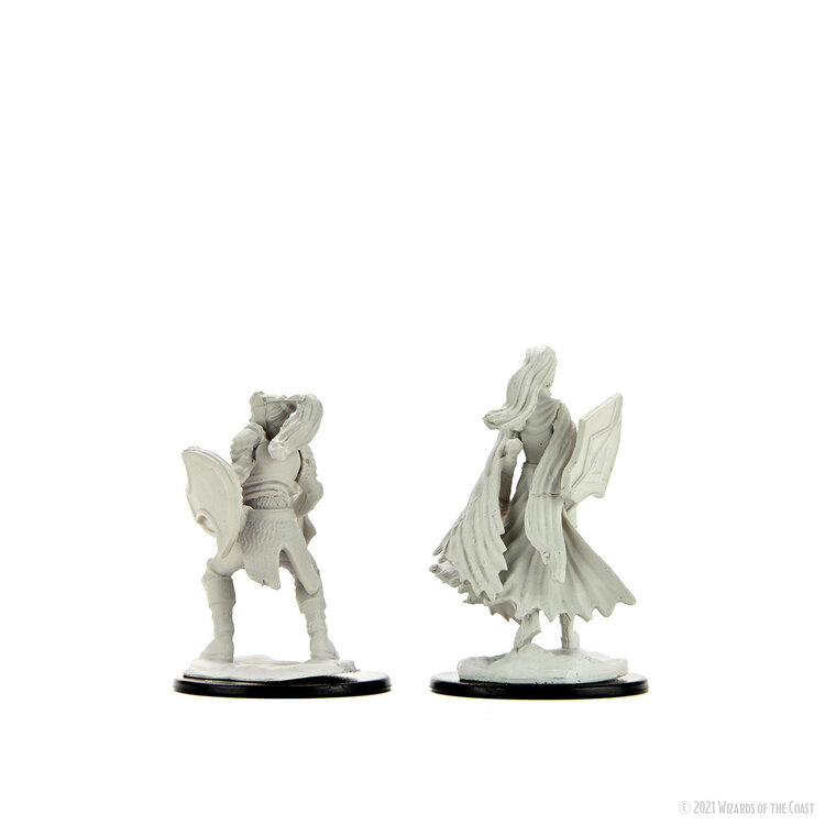 Wizkids Wizkids - Nolzur's Marvelous Miniatures: Kalashtar Cleric