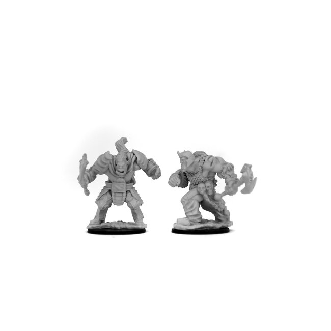 Wizkids Wizkids - Nolzur's Marvelous Miniatures: Orcs