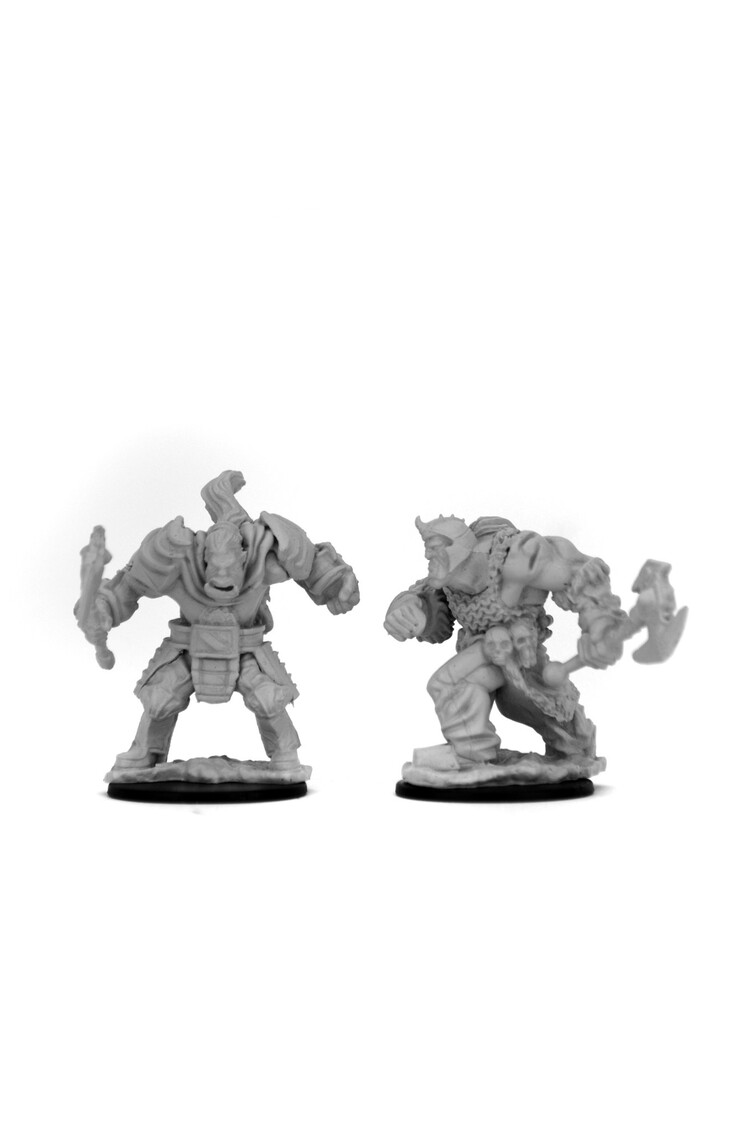 Wizkids Wizkids - Nolzur's Marvelous Miniatures: Orcs