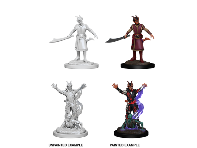 Wizkids Tiefling Warlock