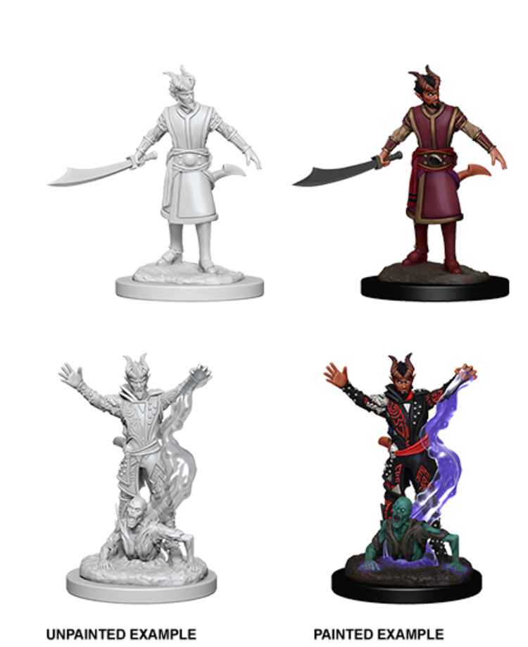 Wizkids Wizkids - Nolzur's Marvelous Miniatures: Tiefling Warlock
