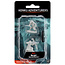 Wizkids Wizkids - Nolzur's Marvelous Miniatures: Kenku Adventurers
