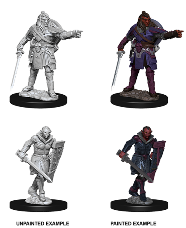 Wizkids Wizkids - Nolzur's Marvelous Miniatures: Hobgoblins