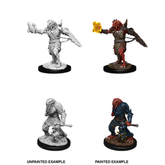 Wizkids Dragonborn Paladin