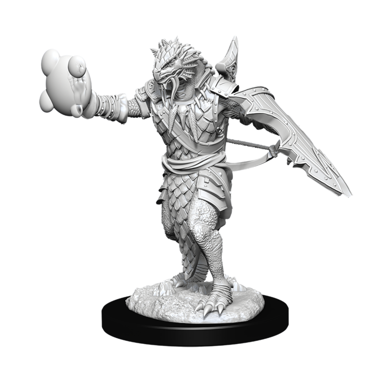 Wizkids Wizkids - Nolzur's Marvelous Miniatures: Dragonborn Paladin