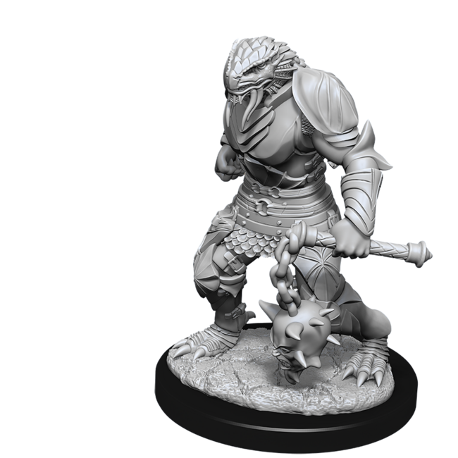 Wizkids Wizkids - Nolzur's Marvelous Miniatures: Dragonborn Paladin
