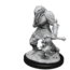 Wizkids Wizkids - Nolzur's Marvelous Miniatures: Dragonborn Paladin