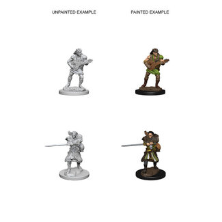 Wizkids Human Bard