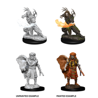 Wizkids Human Druid