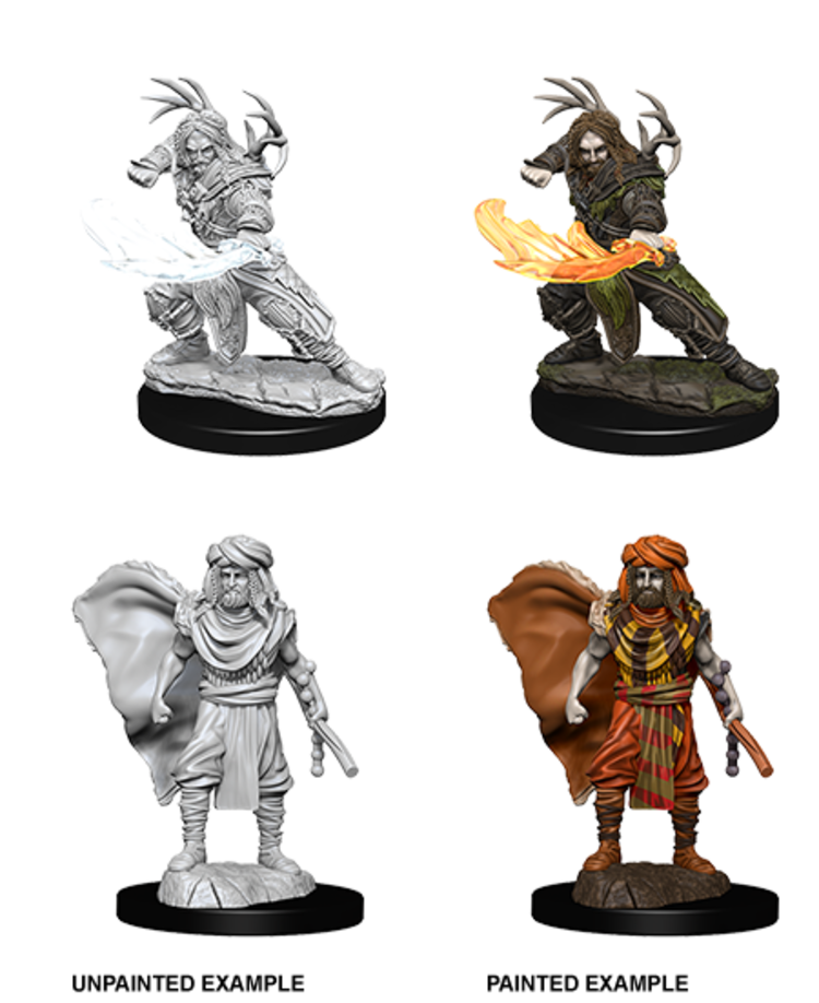 Wizkids Wizkids - Nolzur's Marvelous Miniatures: Human Druid