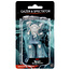 Wizkids Wizkids - Nolzur's Marvelous Miniatures: Gazer & Spectator
