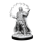 Wizkids Wizkids - Nolzur's Marvelous Miniatures: Human Wizard