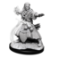Wizkids Wizkids - Nolzur's Marvelous Miniatures: Human Wizard