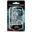 Wizkids Wizkids - Nolzur's Marvelous Miniatures: Tortle Adventurers