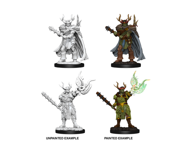 Wizkids Male Half-Orc Druid