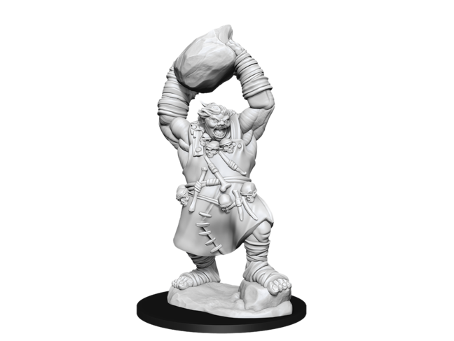 Wizkids Ogre