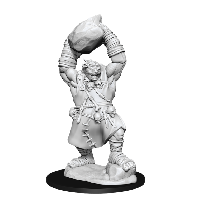 Wizkids Wizkids - Pathfinder Battles: Ogre