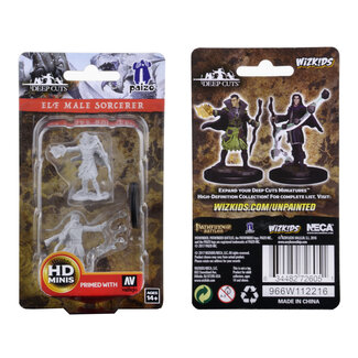 Wizkids Male Elf Sorcerer