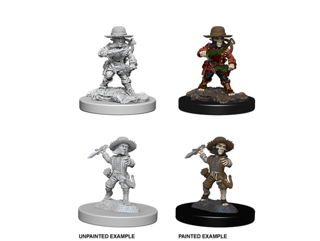 Wizkids Male Halfling Rogue
