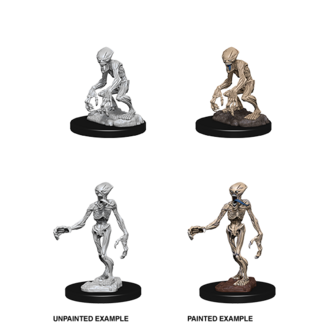 Wizkids Doppelgangers