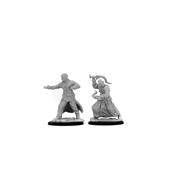 Wizkids Wizkids - Pathfinder Battles: Male Human Monk