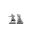 Wizkids Wizkids - Pathfinder Battles: Male Human Monk