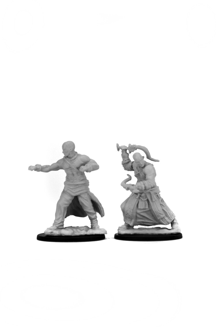 Wizkids Wizkids - Pathfinder Battles: Male Human Monk
