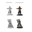 Wizkids Wizkids - Pathfinder Battles: Male Human Monk