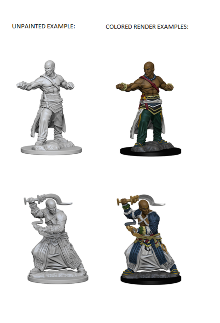 Wizkids Wizkids - Pathfinder Battles: Male Human Monk