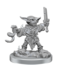 Wizkids Wizkids - Pathfinder Battles: Goblins