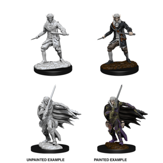 Wizkids Male Elf Rogue