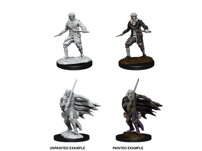 Wizkids Male Elf Rogue