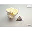 Chessex Chessex: Carousel/white - Festive Polyhedral 7-Die Set Mini
