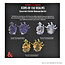 Wizkids Wizkids - Icons of the Realms - Collector's Edition: Beholder Box Set
