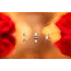 Harder & Steenbeck Harder & Steenbeck: Infinity 2024 CRplus Solo