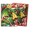 Dragon Shield Dragon Shield: Christmas 2024 Art Sleeves (100 Standard Size Sleeves)
