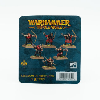 Games Workshop Kingdom of Bretonnia: Squires