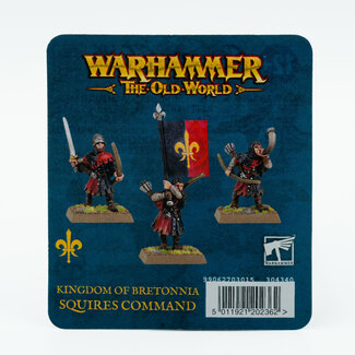 Games Workshop Kingdom of Bretonnia: Squires Command