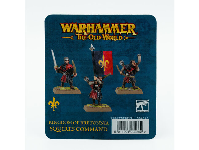 Games Workshop Warhammer Kingdom of Bretonnia: Squires Command