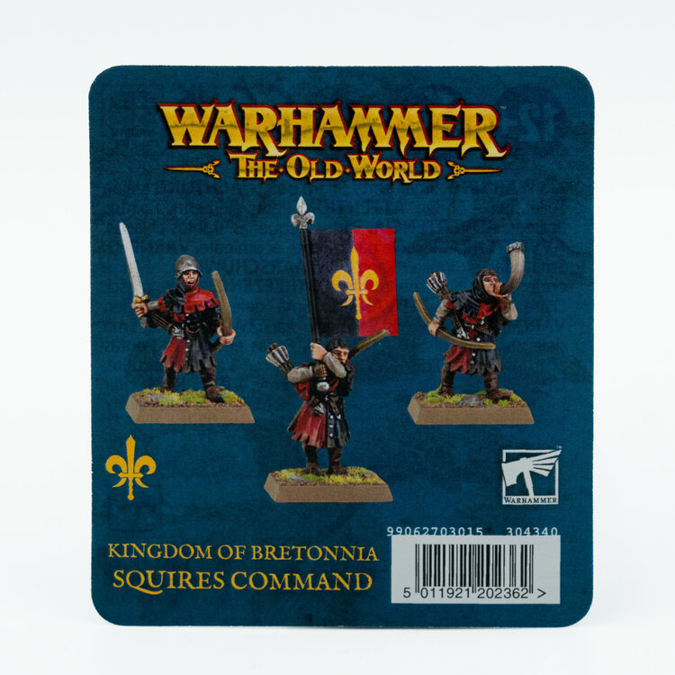 Games Workshop Warhammer Warhammer The Old World - Kingdom of Bretonnia: Squires Command