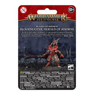 Games Workshop Blades of Khorne: Bloodmaster Herald of Khorne