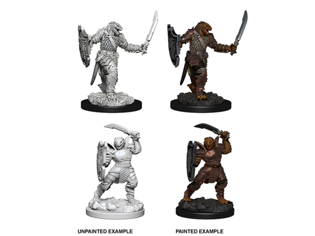 Wizkids Dragonborn Paladin