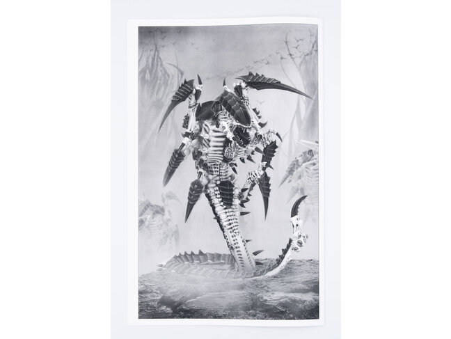Games Workshop Warhammer Tyranids: Trygon / Mawloc