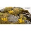 Gamers Grass GamersGrass: Bases - Highland - Round 90mm - Battle Ready (1)