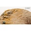 Gamers Grass GamersGrass: Bases - Deserts of Maahl - Round 80mm - Battle Ready (1)