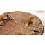 Gamers Grass GamersGrass: Bases - Badlands - Round 80mm - Battle Ready (1)