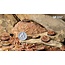 Gamers Grass GamersGrass: Bases - Badlands - Round 28mm - Battle Ready (8)
