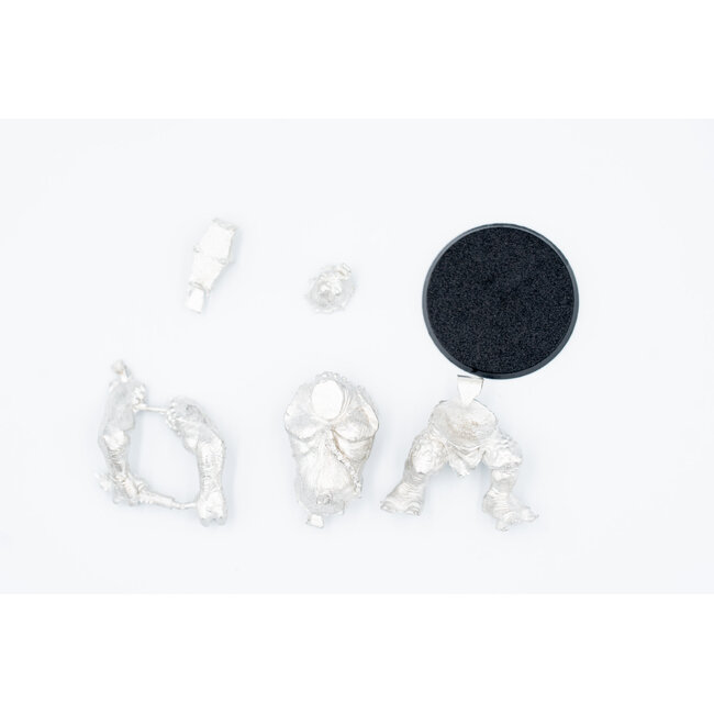 Games Workshop Games Workshop - Middle-Earth: Cave Troll