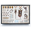 Games Workshop Warhammer The Horus Heresy: Legion Command Upgrade Set