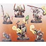 Games Workshop Warhammer Age of Sigmar - Skaven: Plaguepack